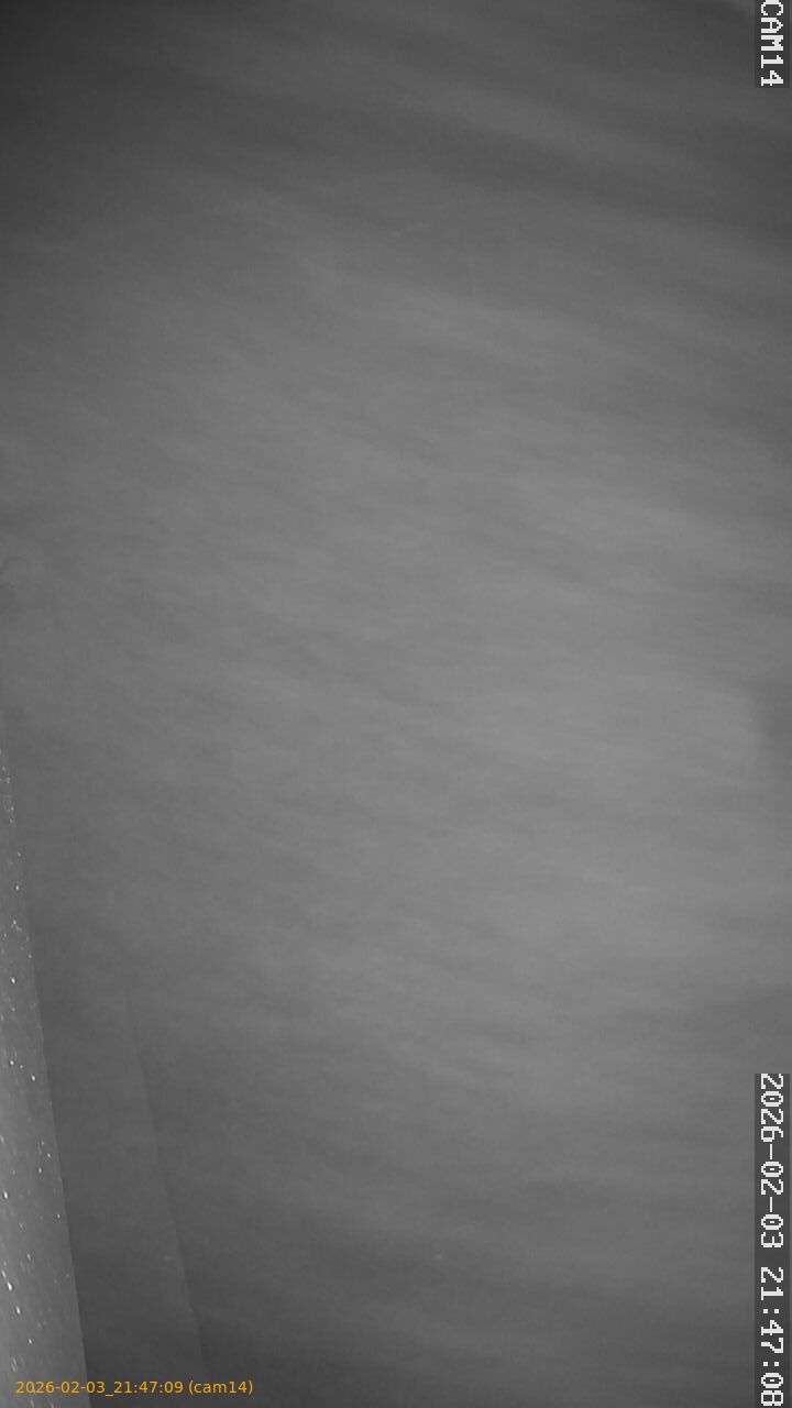 thumbnail_20260203214709