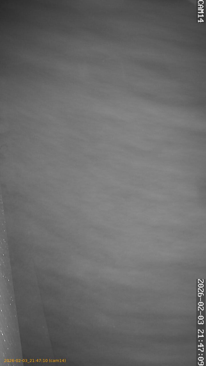 thumbnail_20260203214710