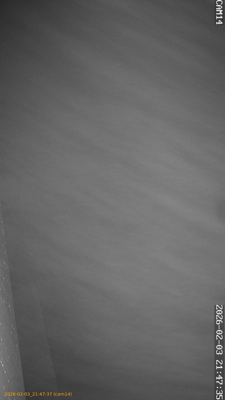 thumbnail_20260203214737