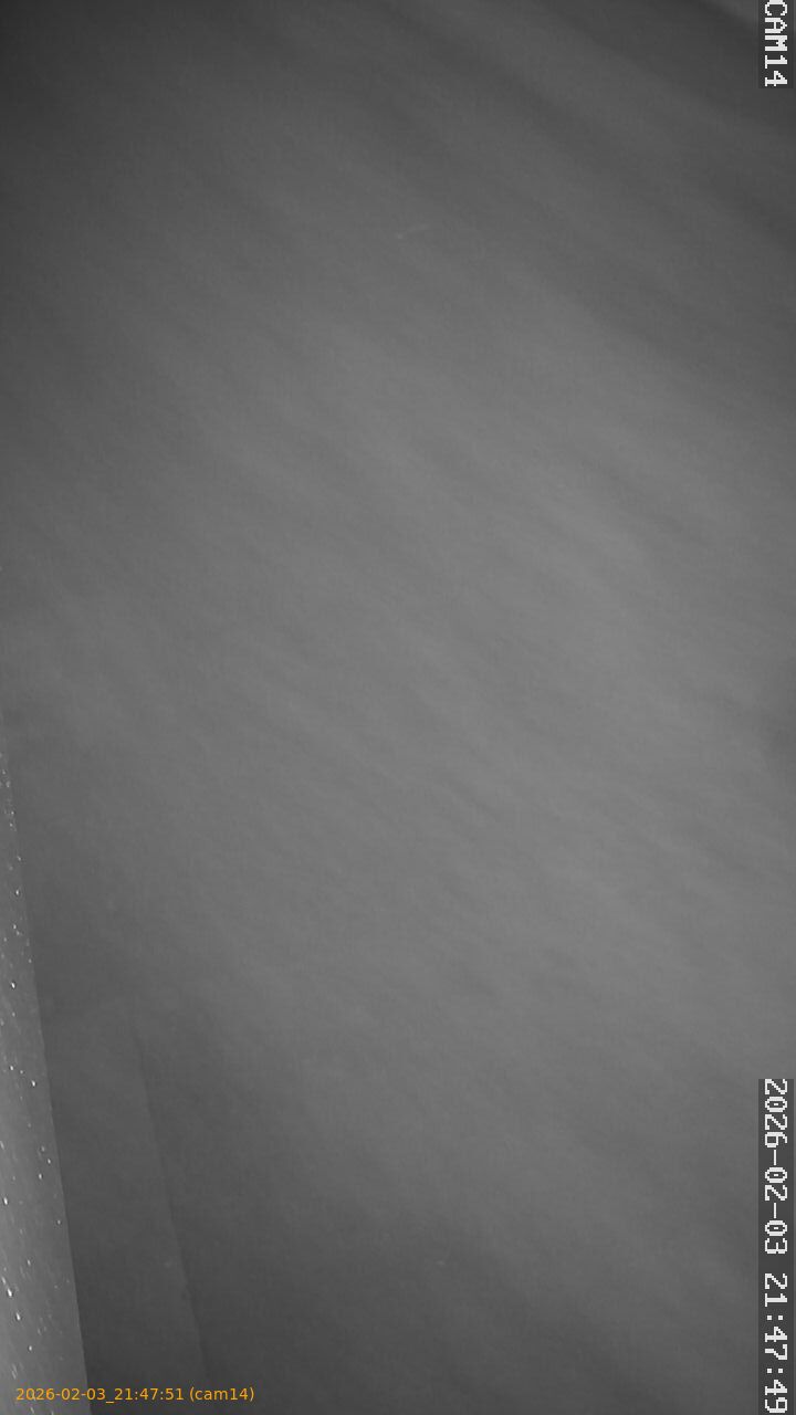 thumbnail_20260203214751