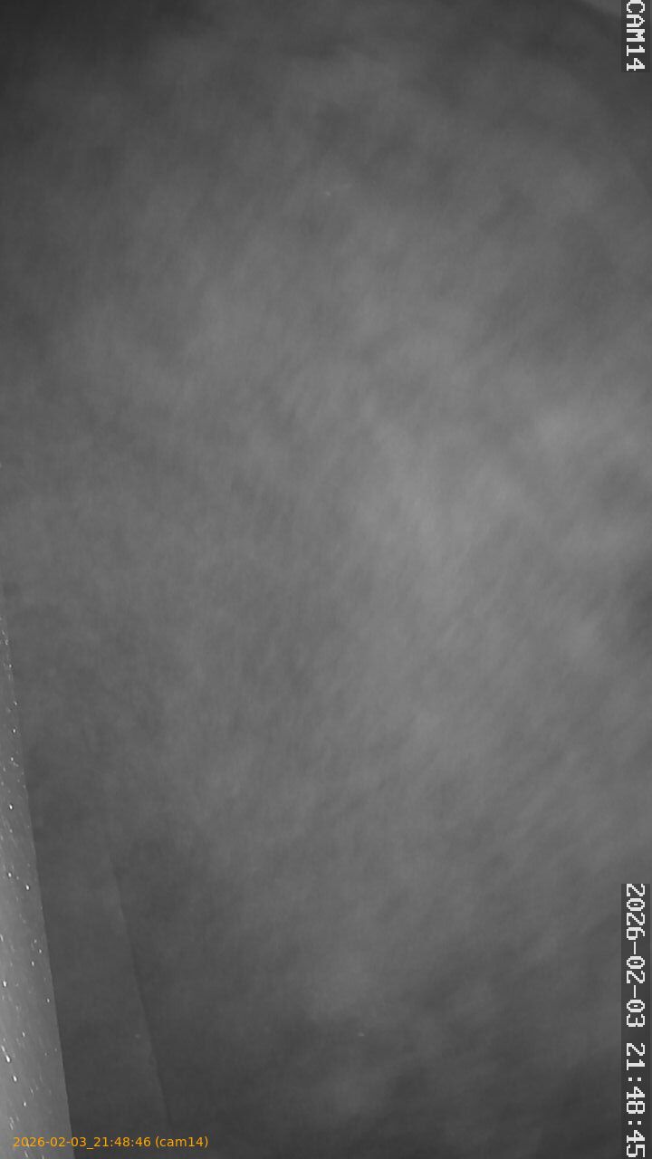 thumbnail_20260203214846