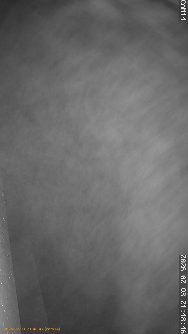 thumbnail_20260203214847