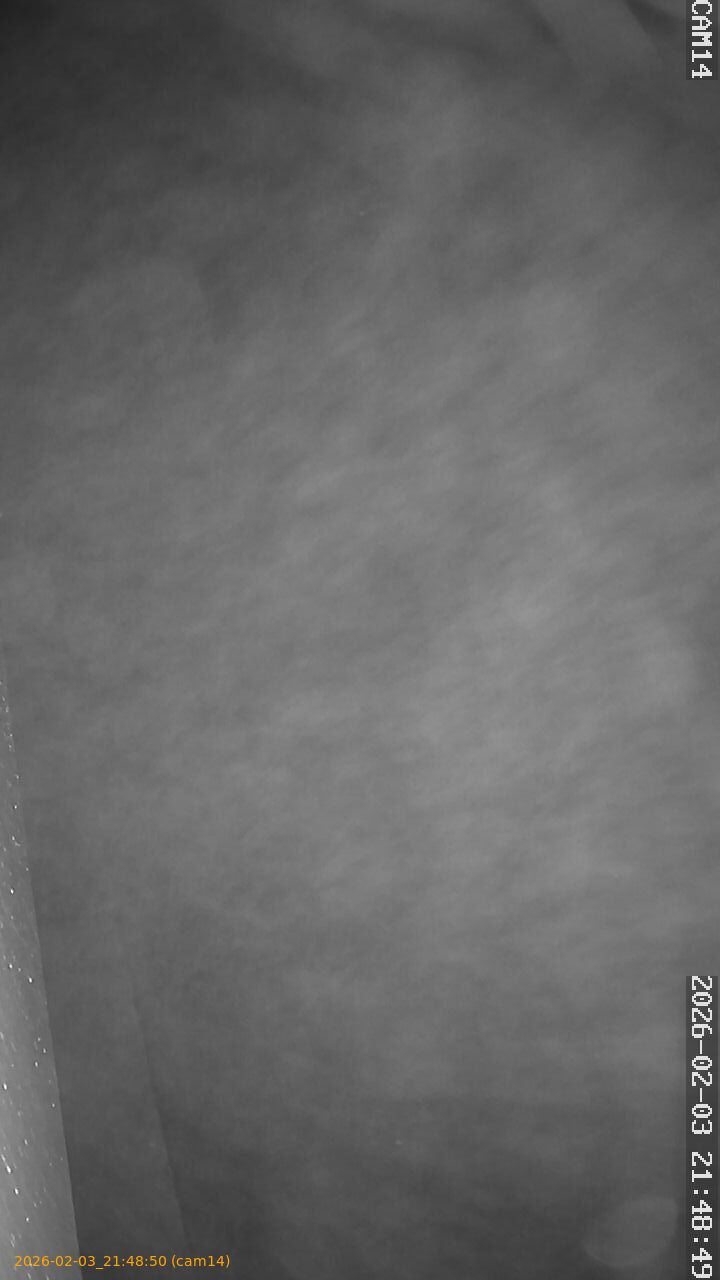 thumbnail_20260203214850