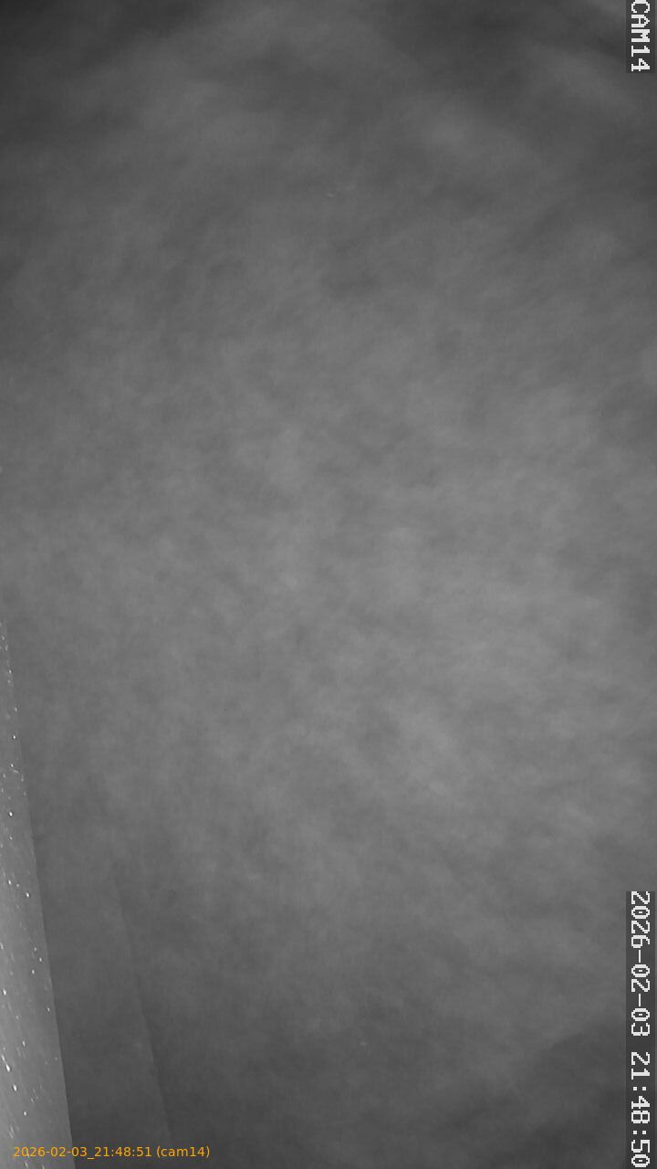 thumbnail_20260203214851