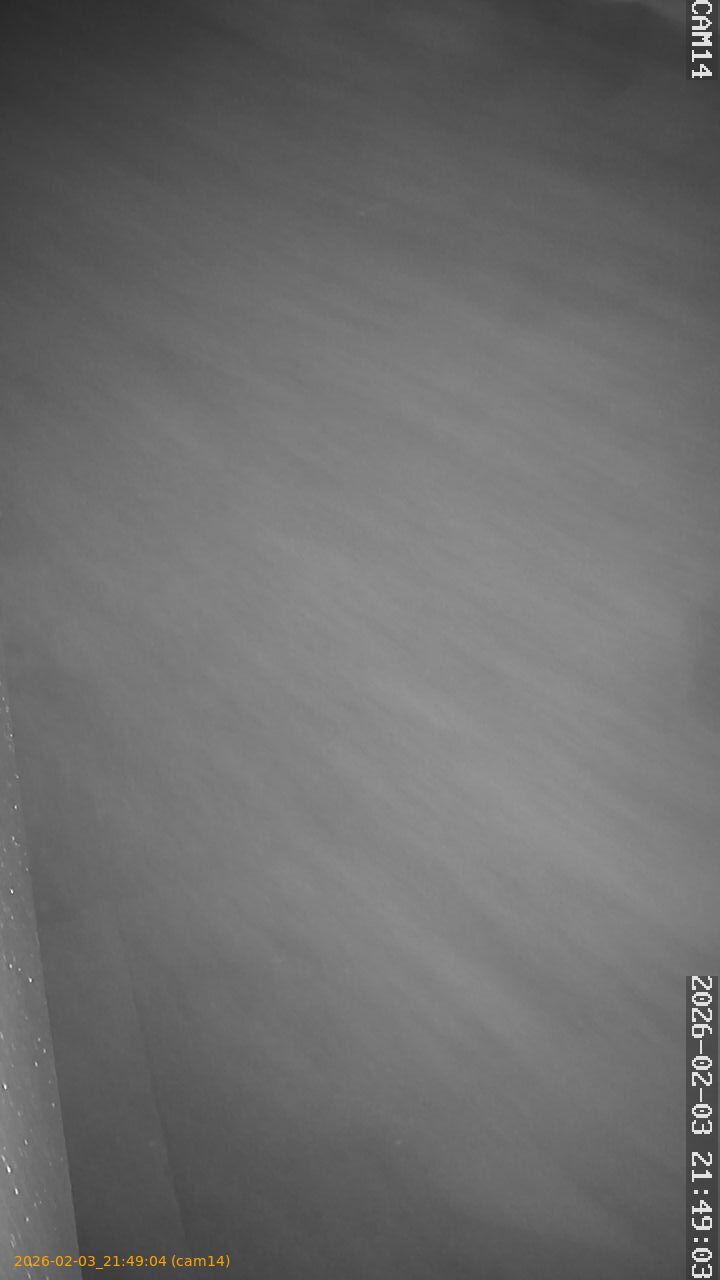 thumbnail_20260203214904