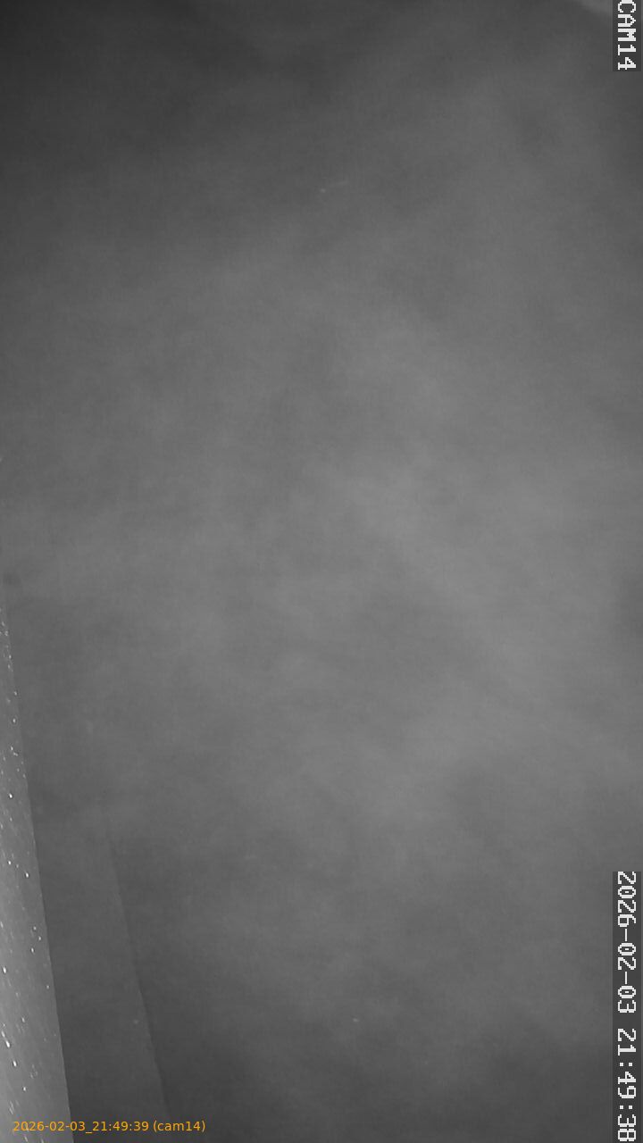 thumbnail_20260203214939