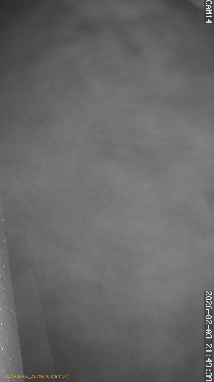 thumbnail_20260203214940