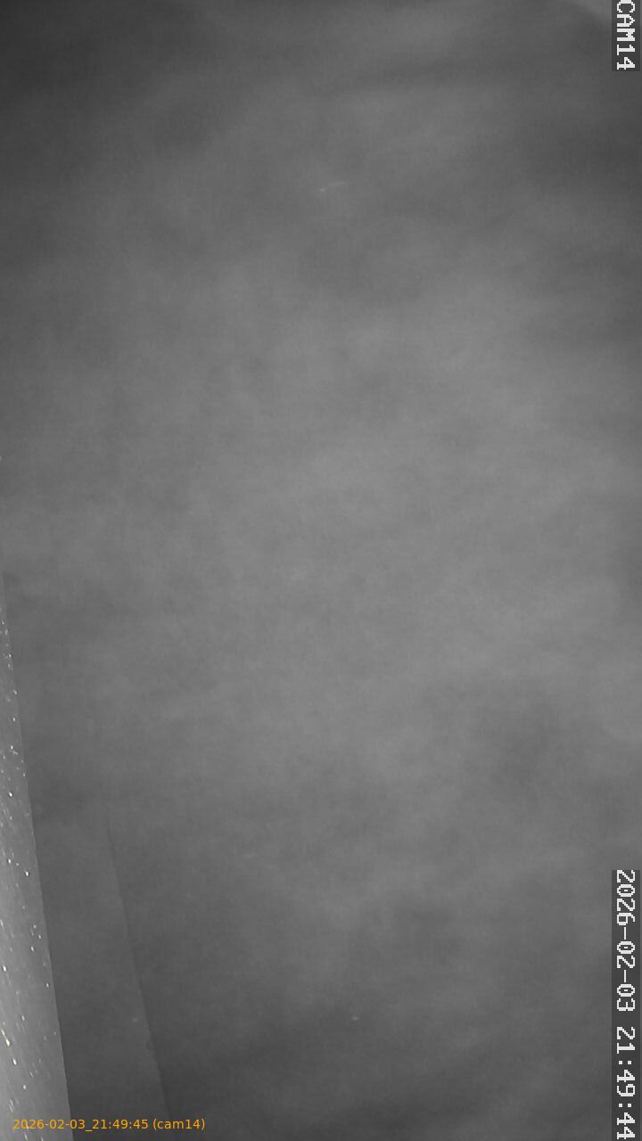 thumbnail_20260203214945