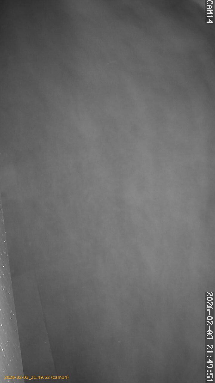 thumbnail_20260203214952