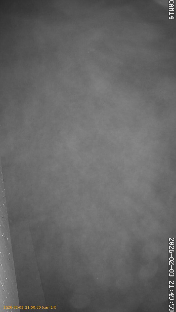 thumbnail_20260203215000