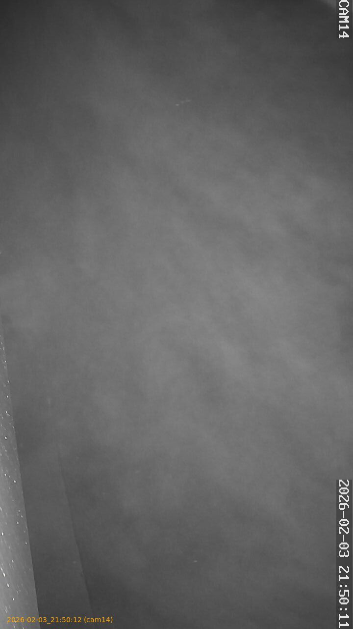 thumbnail_20260203215012