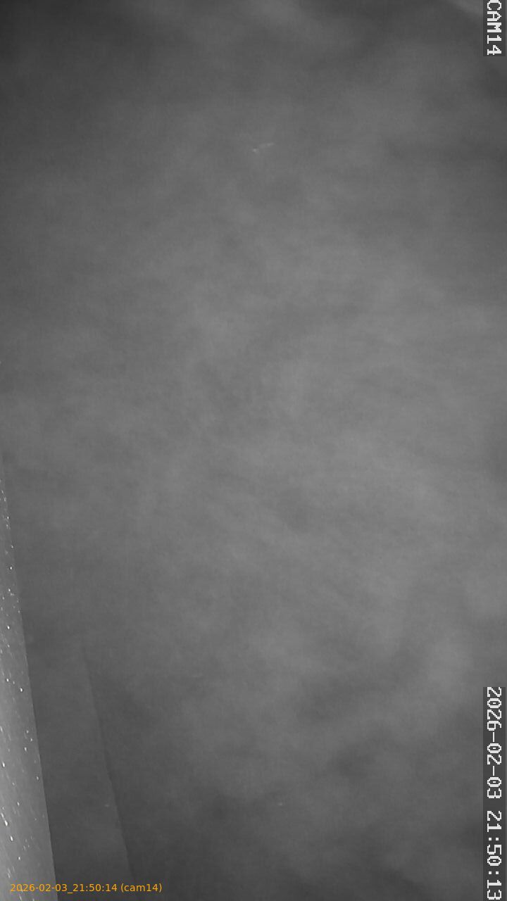 thumbnail_20260203215014