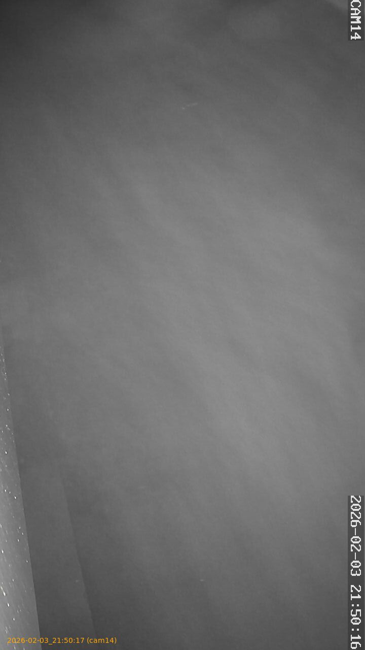 thumbnail_20260203215017