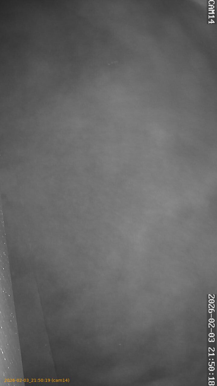 thumbnail_20260203215019