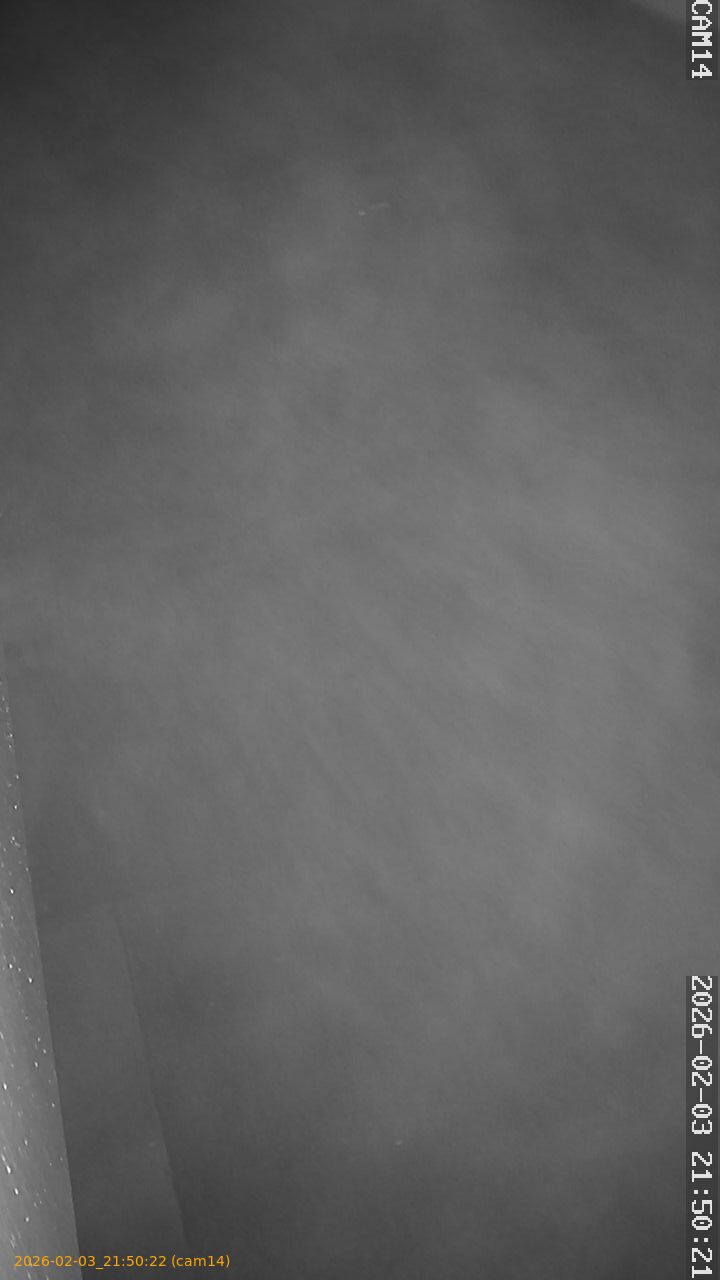 thumbnail_20260203215022