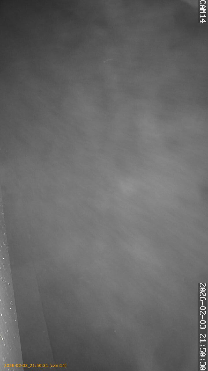 thumbnail_20260203215031