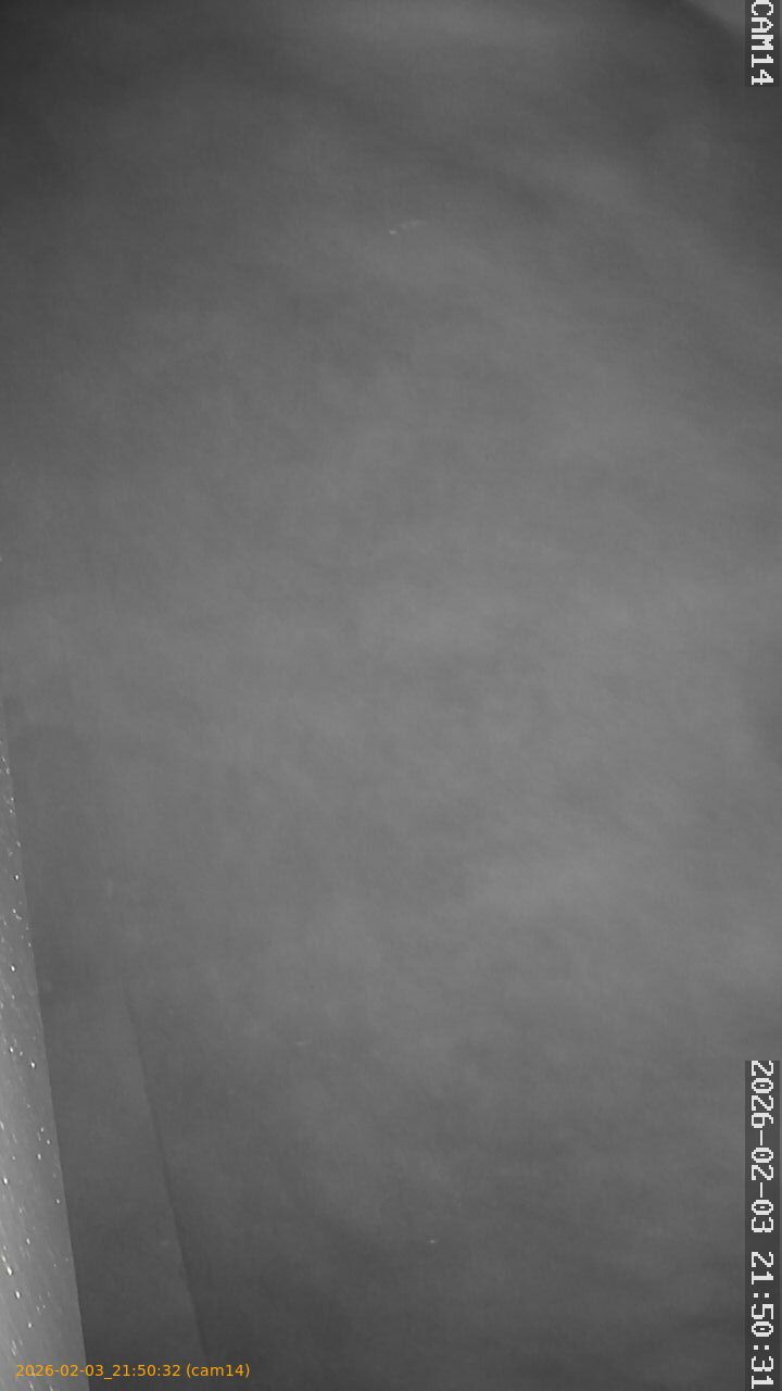 thumbnail_20260203215032