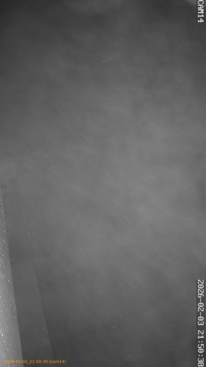 thumbnail_20260203215039