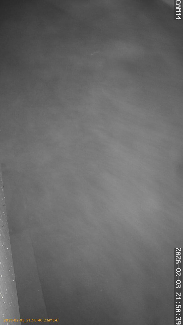 thumbnail_20260203215040