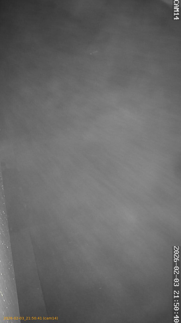 thumbnail_20260203215041