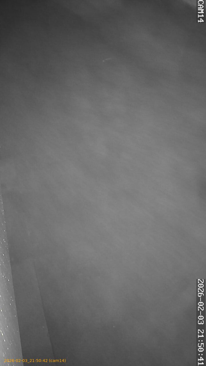 thumbnail_20260203215042