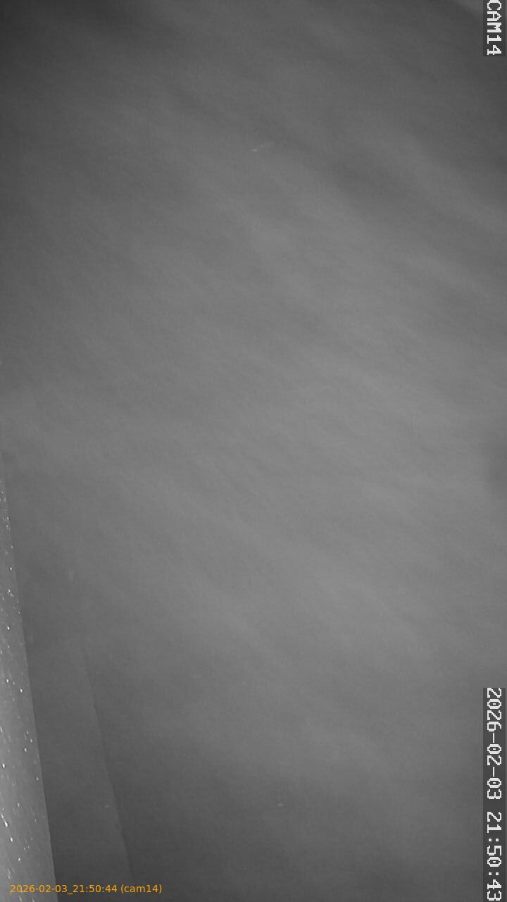 thumbnail_20260203215044