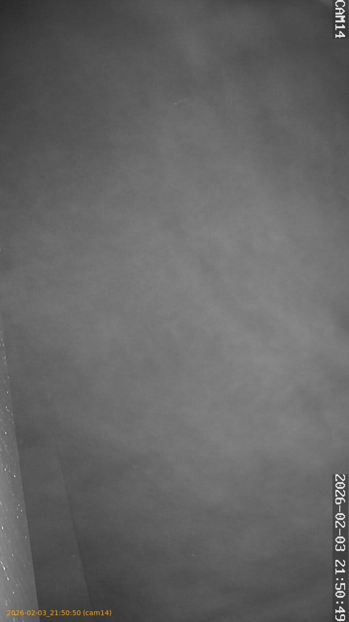 thumbnail_20260203215050