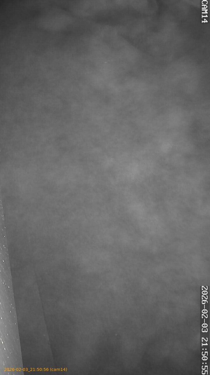 thumbnail_20260203215056