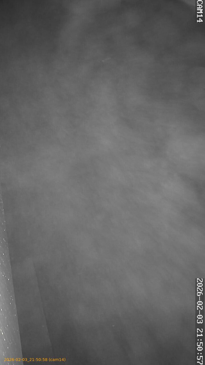 thumbnail_20260203215058