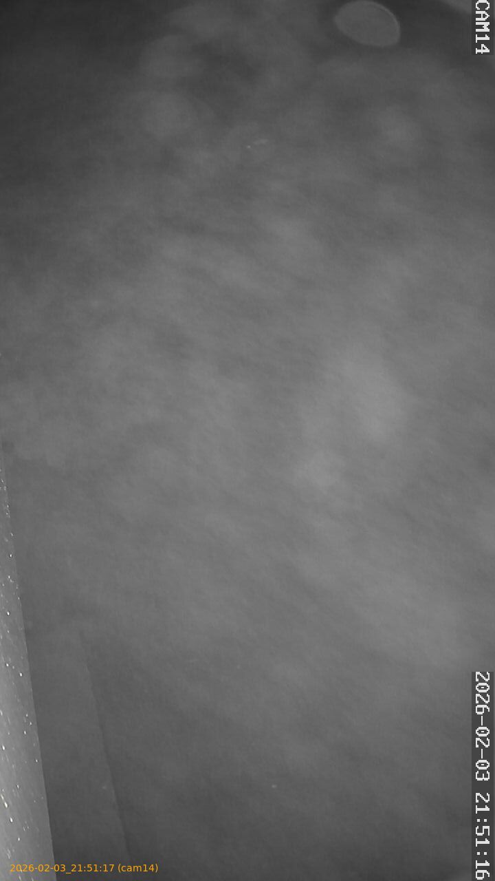 thumbnail_20260203215117