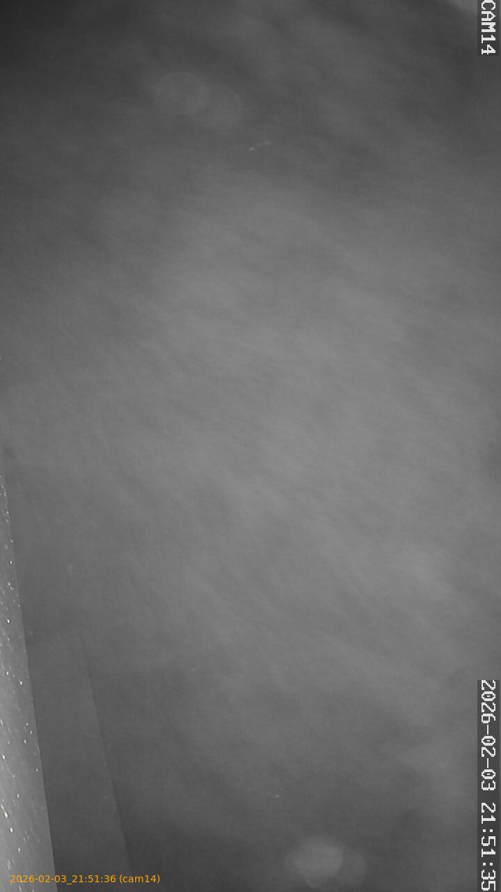 thumbnail_20260203215136