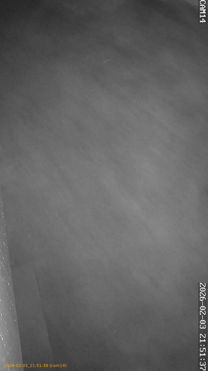 thumbnail_20260203215138