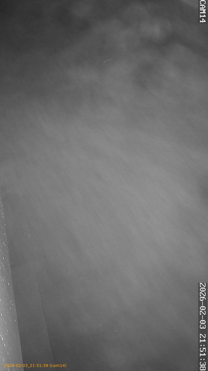 thumbnail_20260203215139