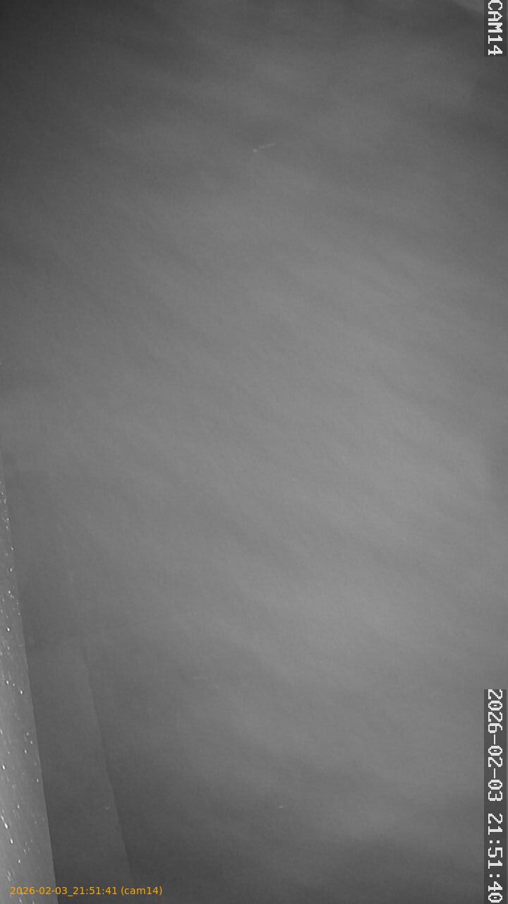 thumbnail_20260203215141