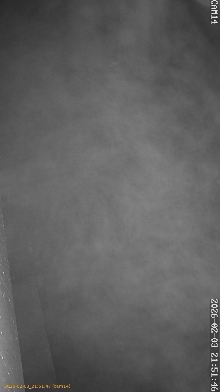 thumbnail_20260203215147