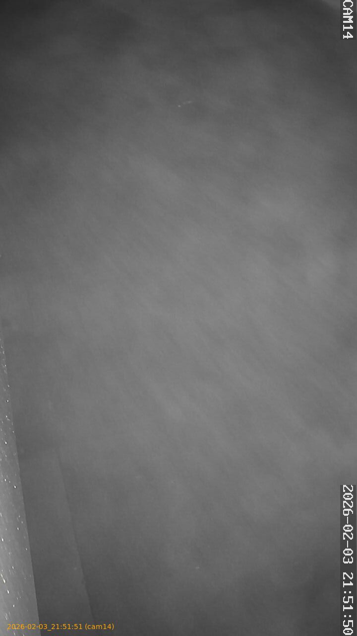 thumbnail_20260203215151