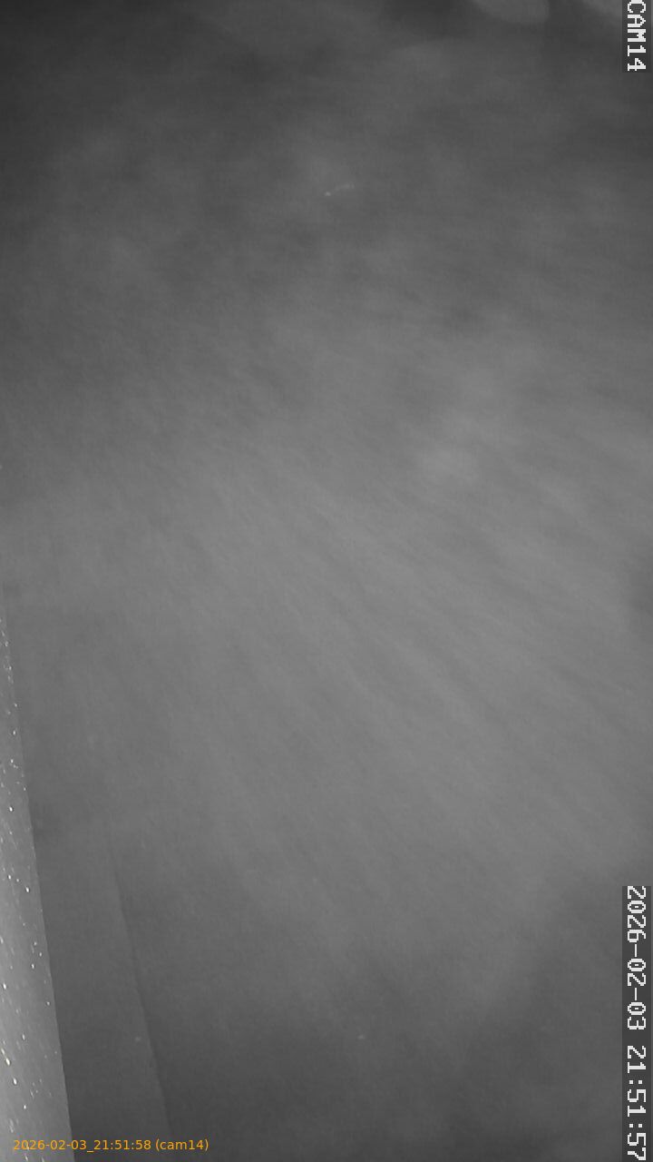 thumbnail_20260203215158