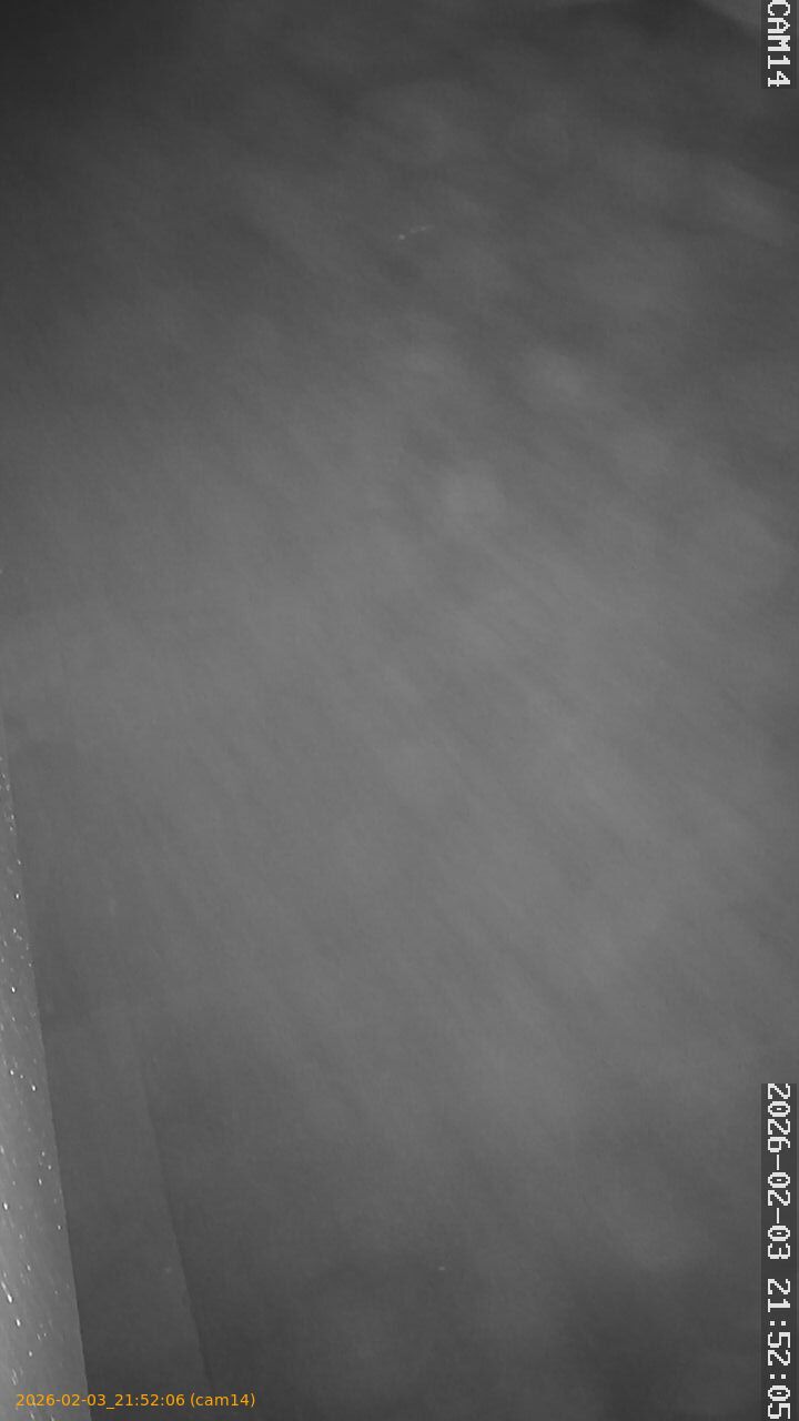 thumbnail_20260203215206