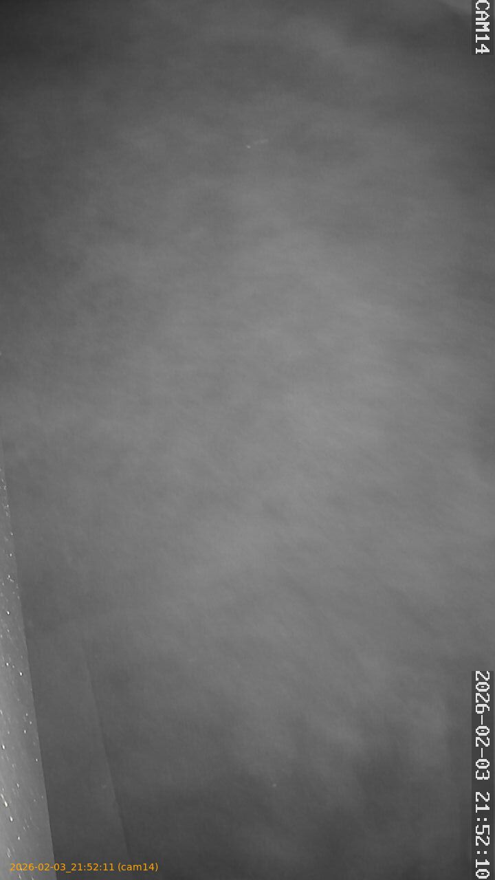 thumbnail_20260203215211