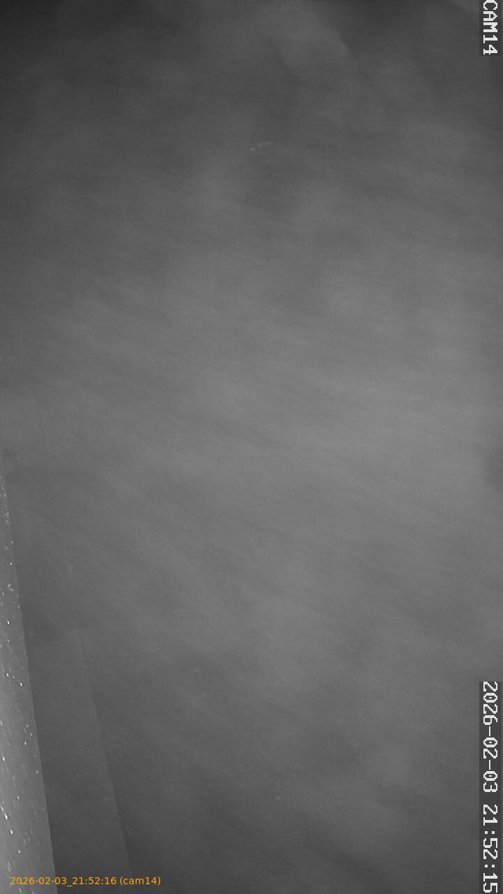 thumbnail_20260203215216