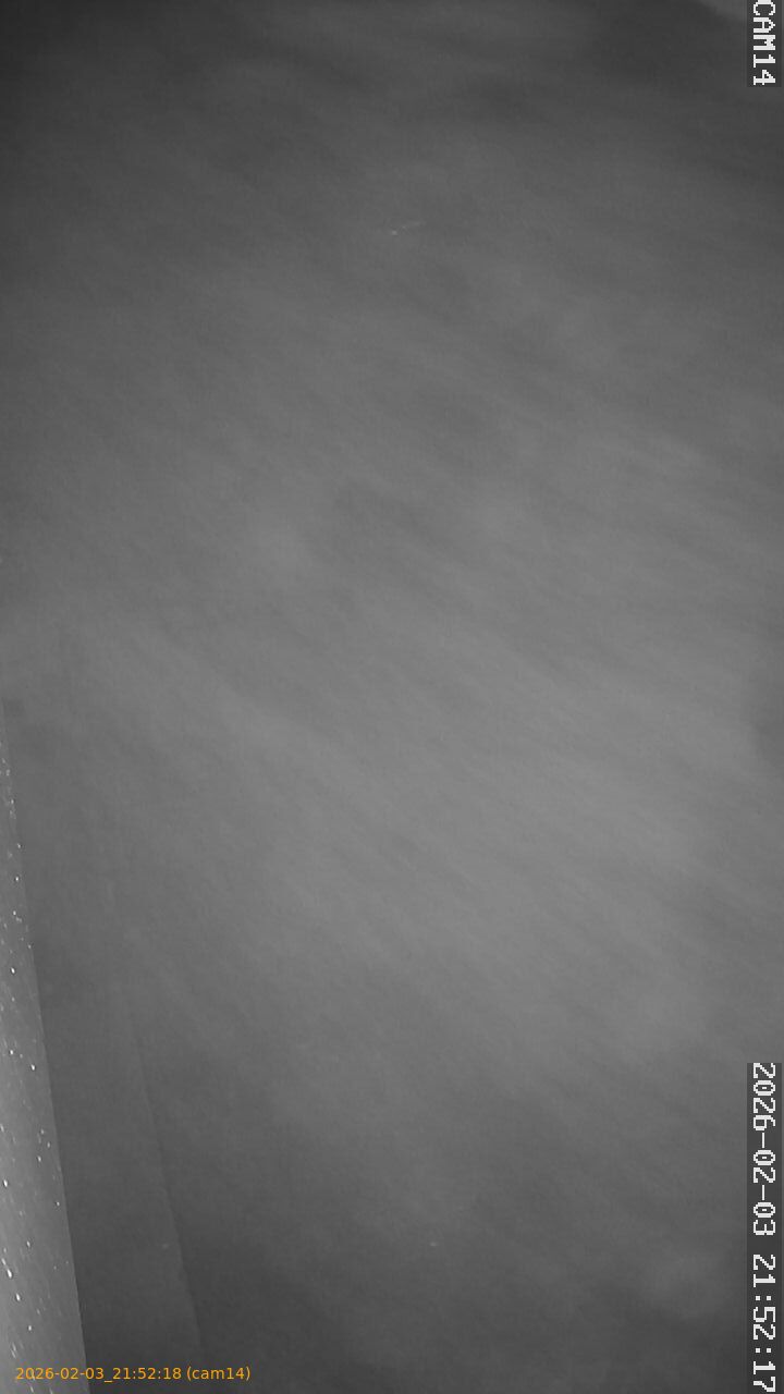 thumbnail_20260203215218