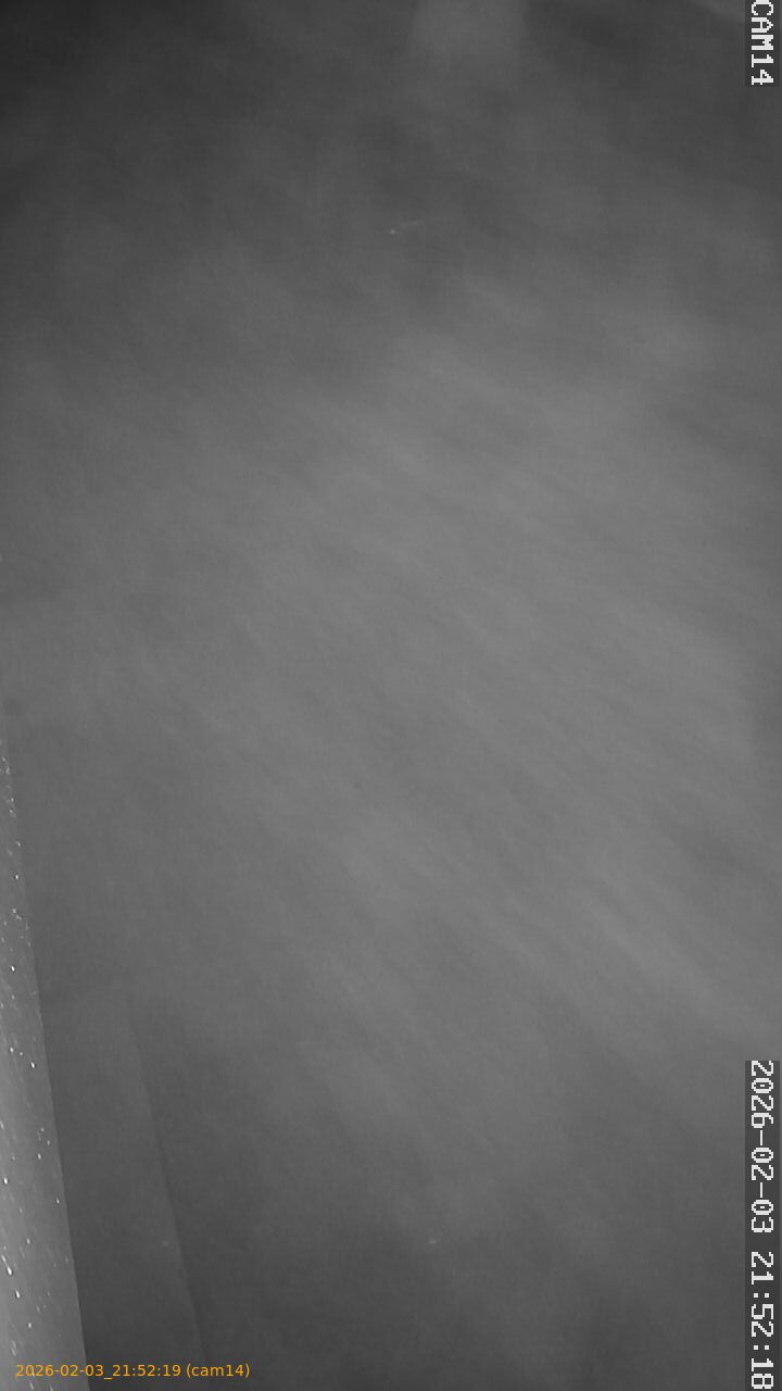 thumbnail_20260203215219