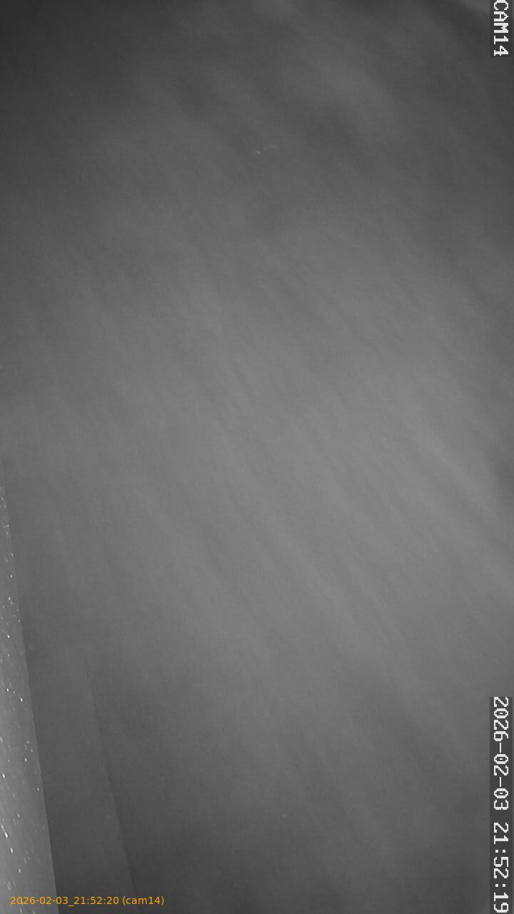 thumbnail_20260203215220