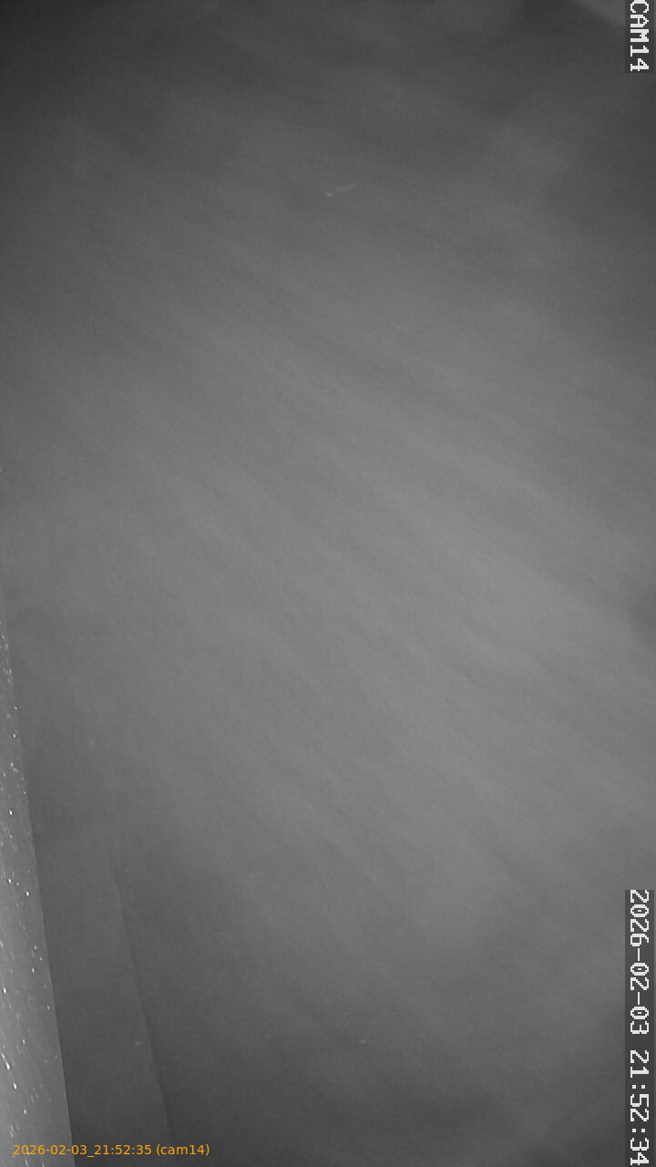 thumbnail_20260203215235