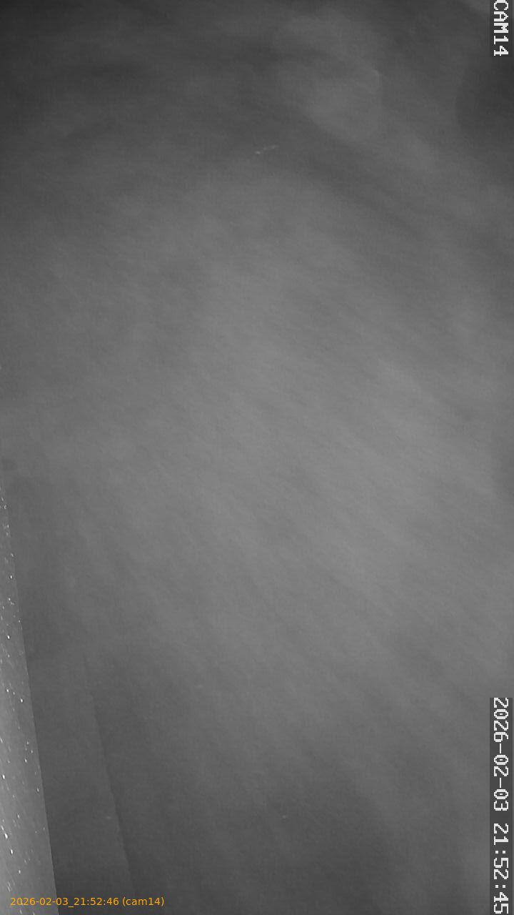 thumbnail_20260203215246