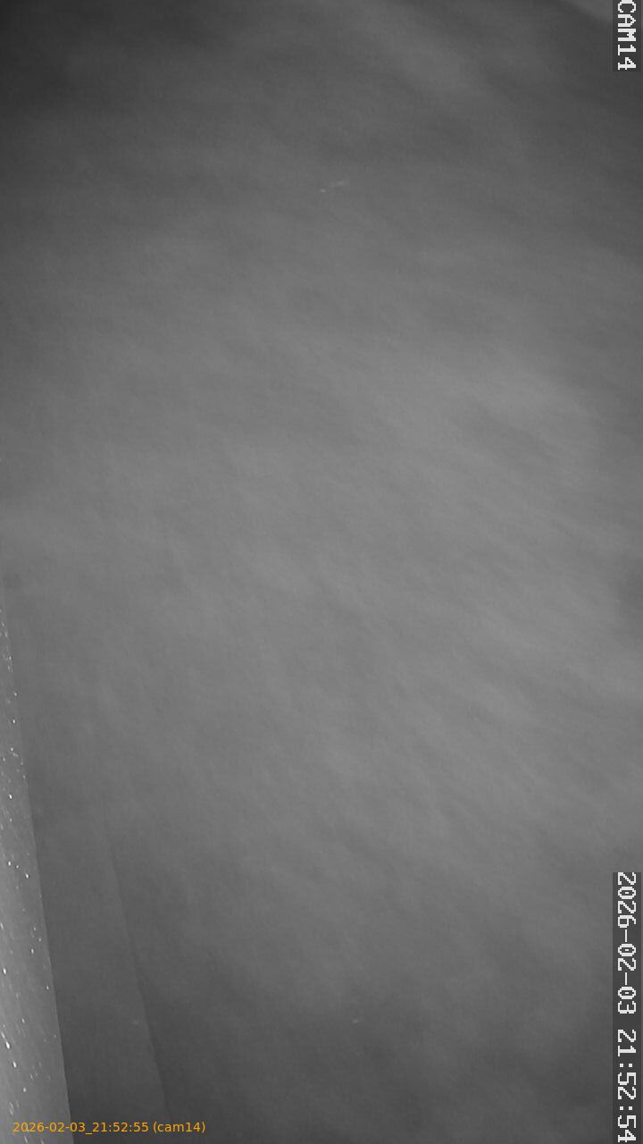 thumbnail_20260203215255