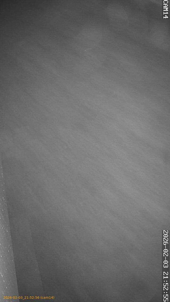 thumbnail_20260203215256