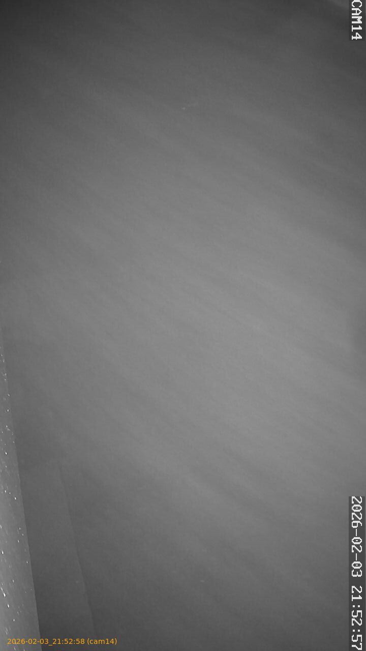 thumbnail_20260203215258