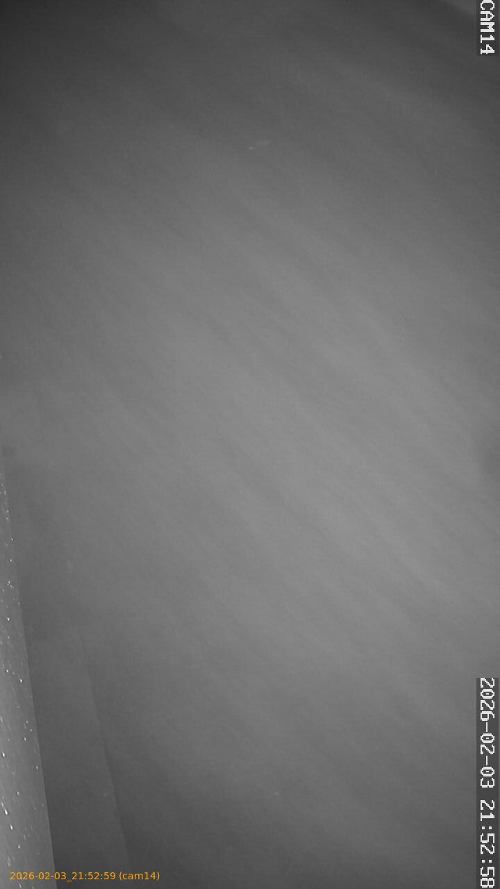 thumbnail_20260203215259