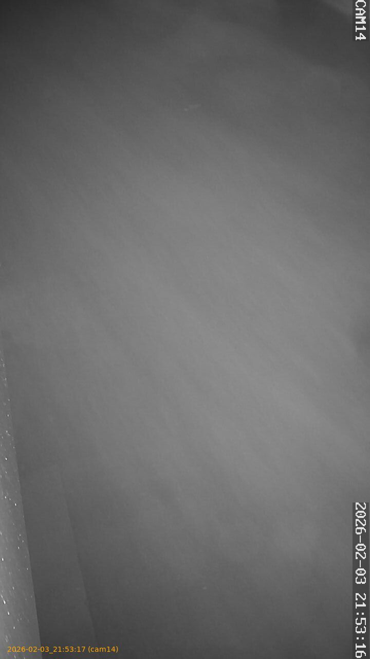 thumbnail_20260203215317